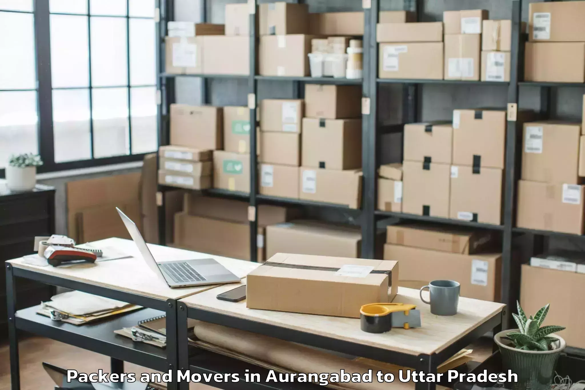 Professional Aurangabad to Gardens Galleria Lucknow Packers And Movers